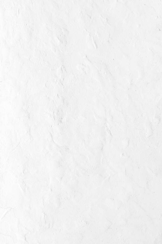 The Evolutionary Recipe Book: How Development Shapes Life's Possibilities