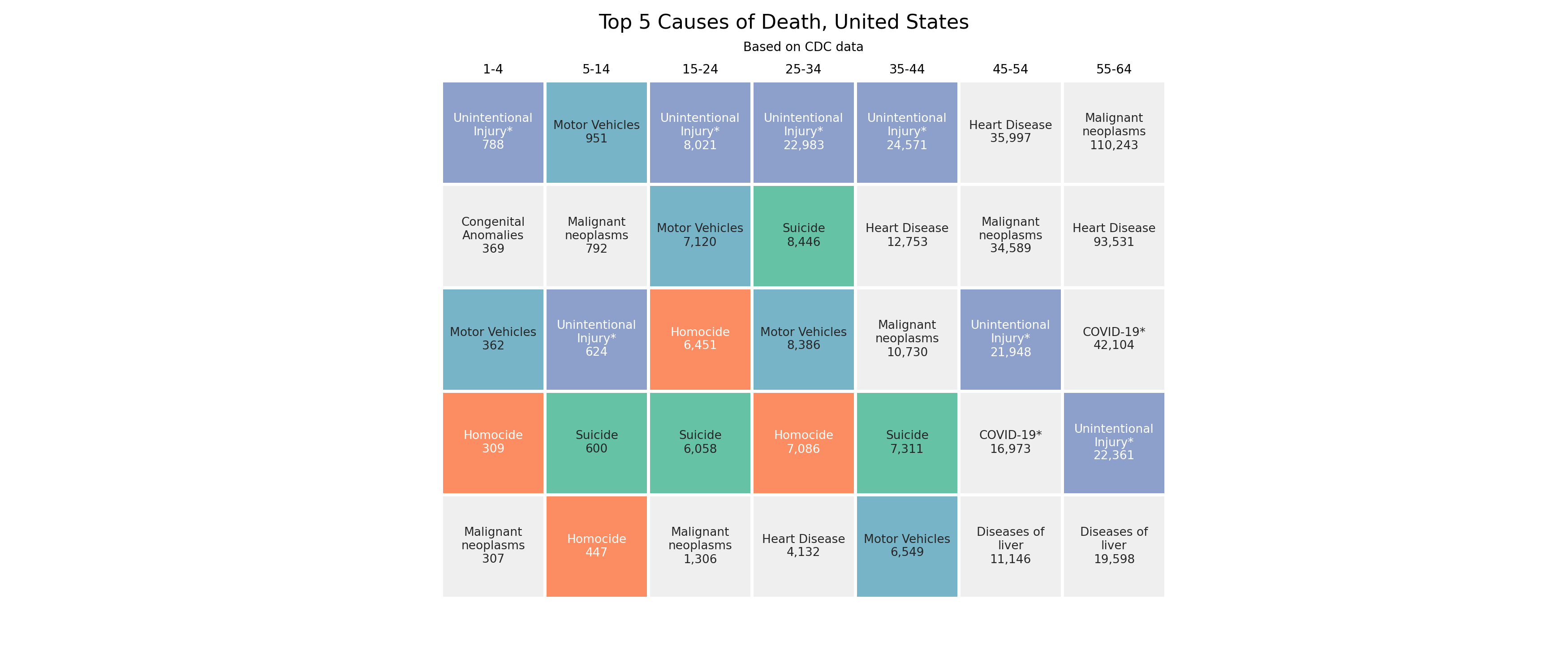 Leading Cause of Death with Motor Vehicles as separate category