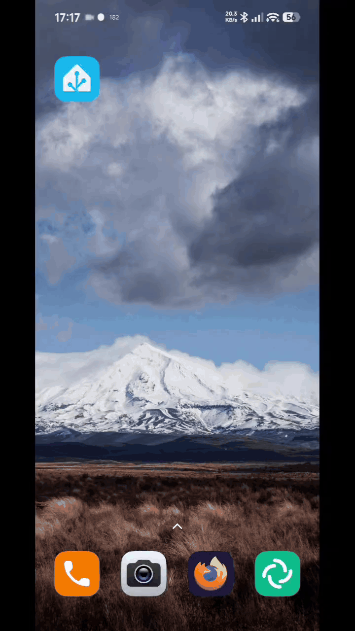 demo gif