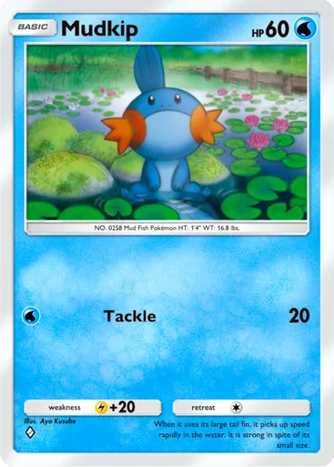Mudkip