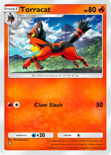 Torracat