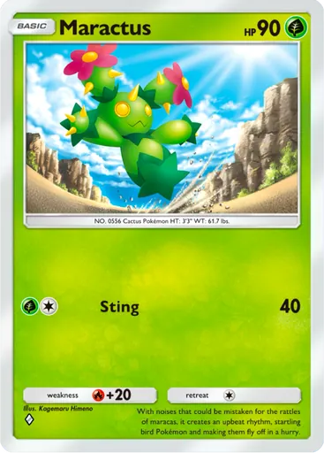 Maractus