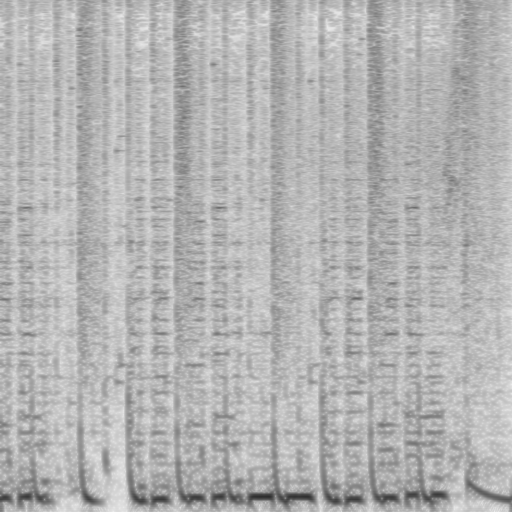 Spectogram of Charm Point