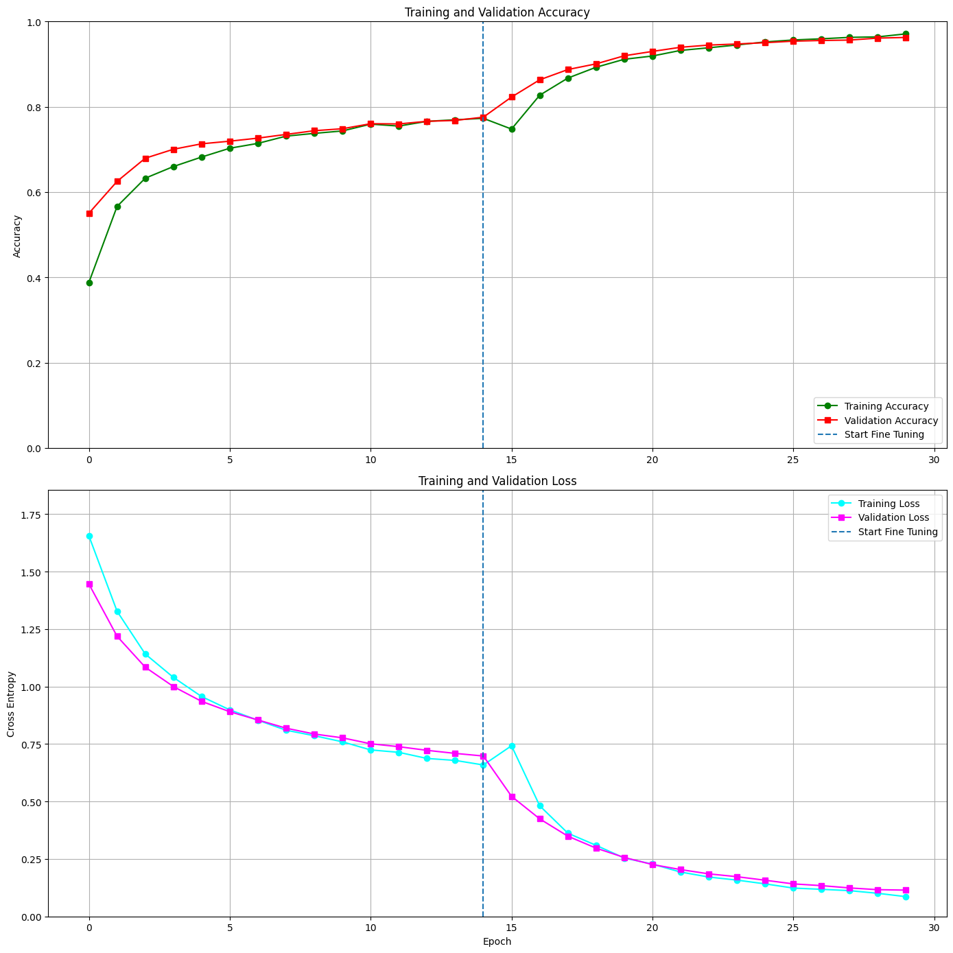 Fine Tuning Training