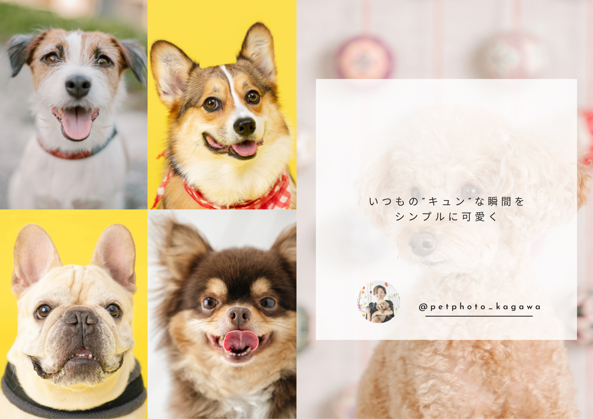ペットPHOTO香川