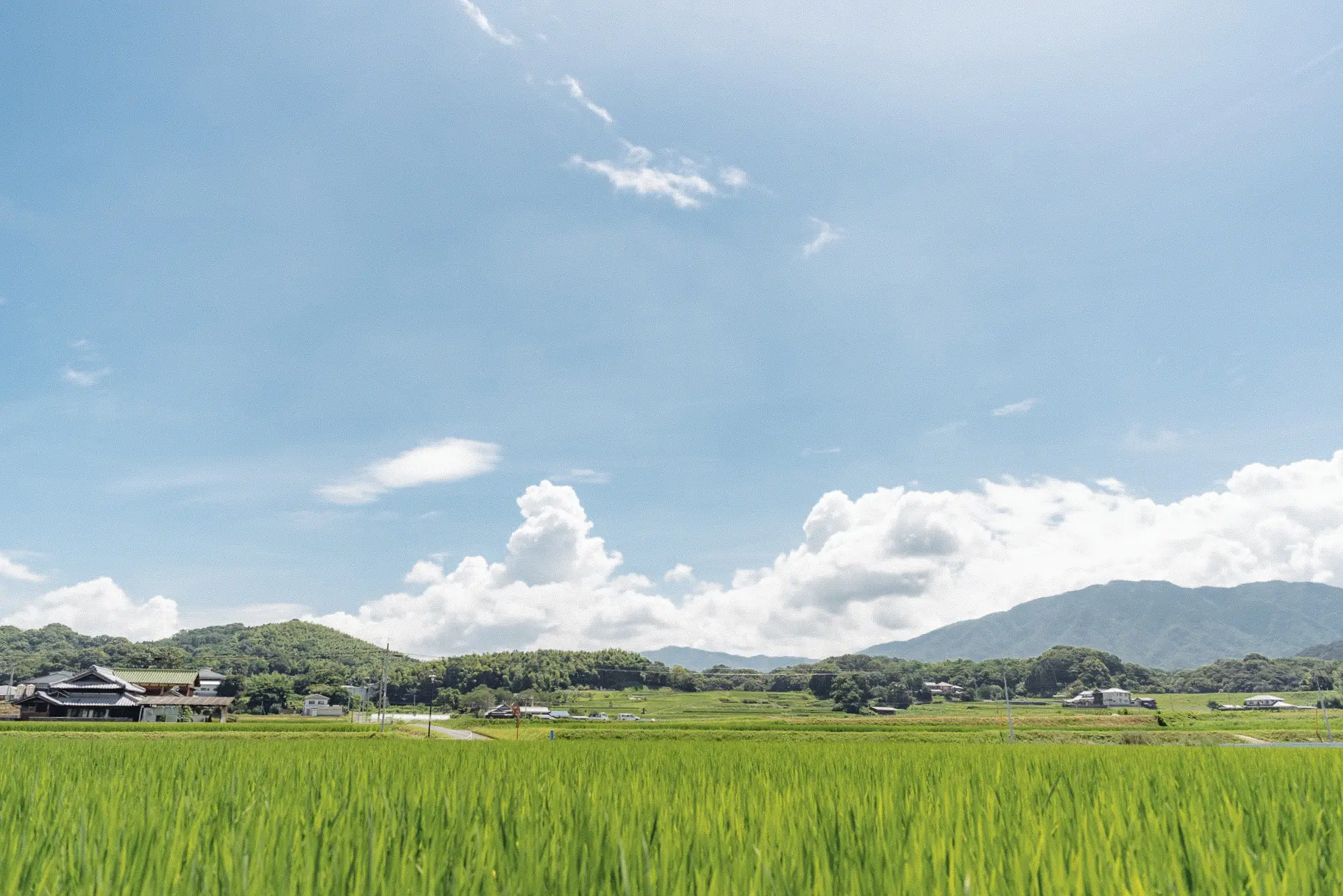 香川県まんのう町の里山風景