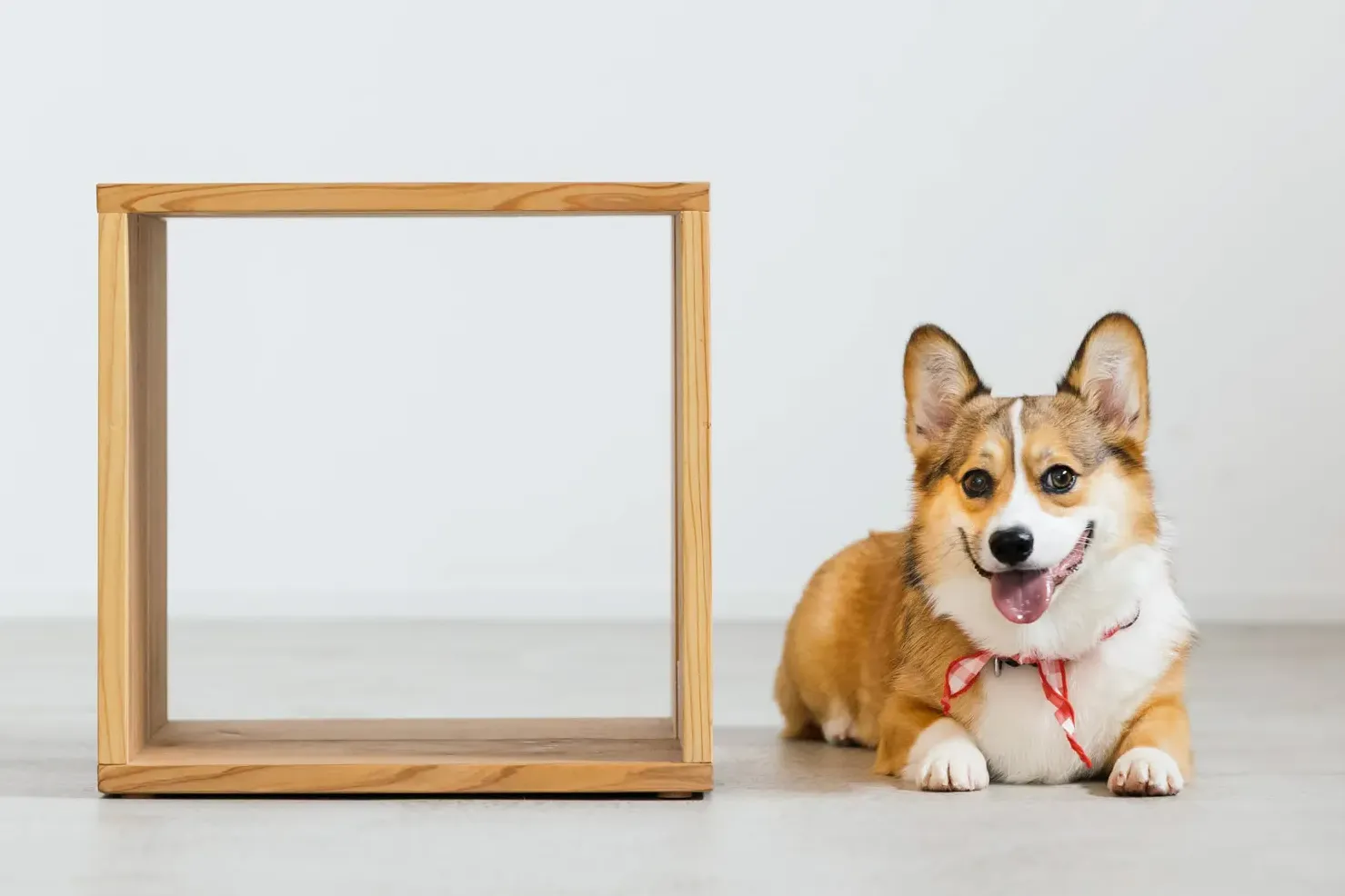 香川県での家族とペットの記念写真 — 飼い主と愛犬の絆を自然に表現した家族写真、ペットPHOTO香川
