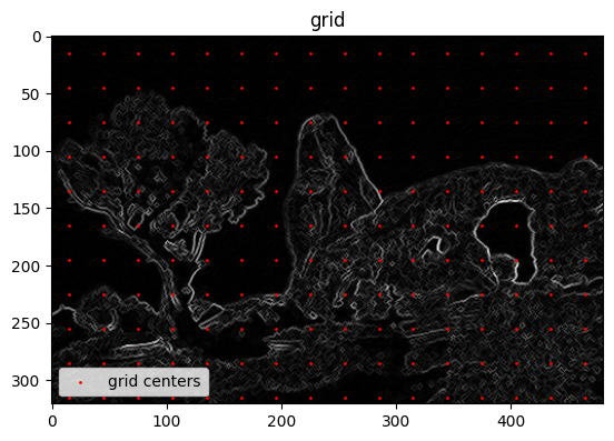 Regular cells on the image