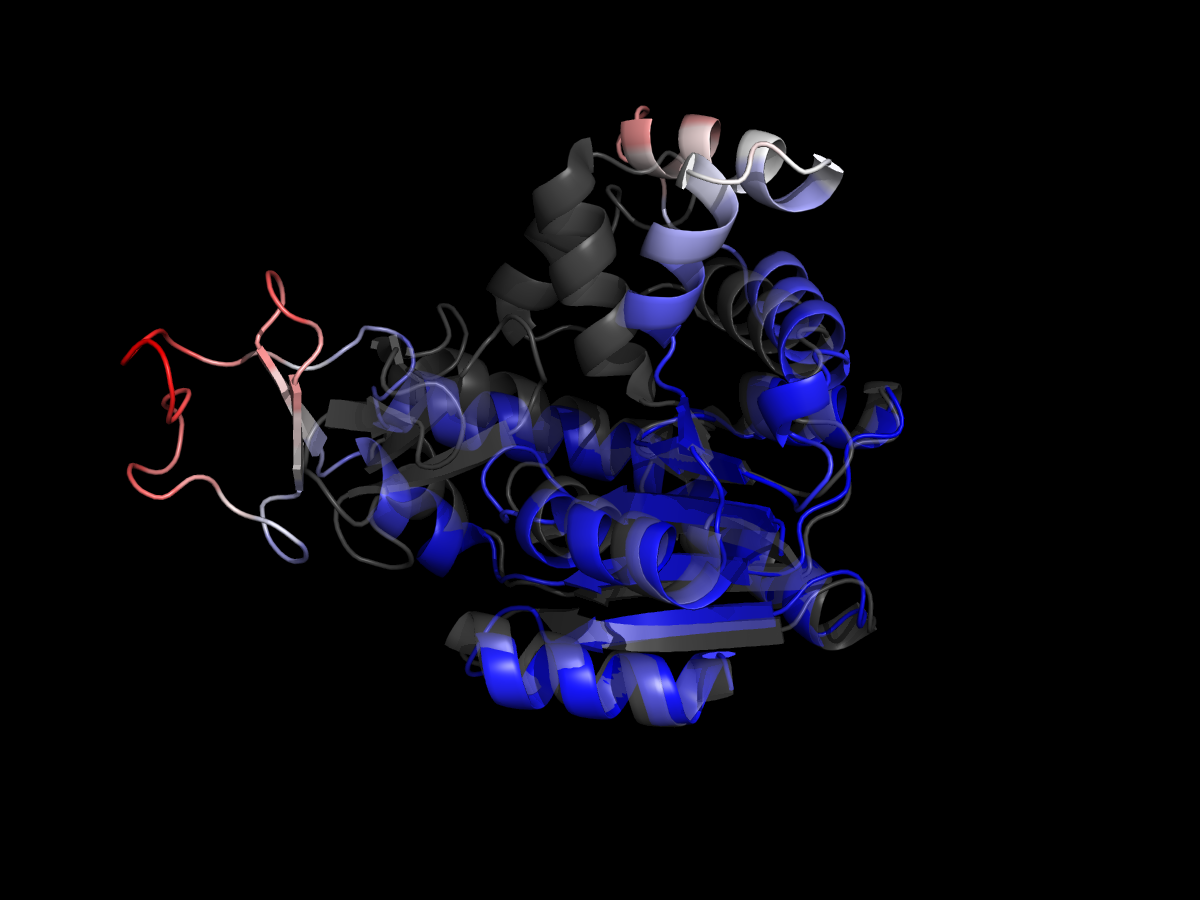Adenylate kinase open (4AKE) superposed on closed (1AKE), coloured by per-residue shift