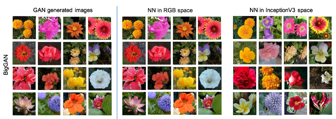 BIGGAN-NN-RGB-IncepV3 results