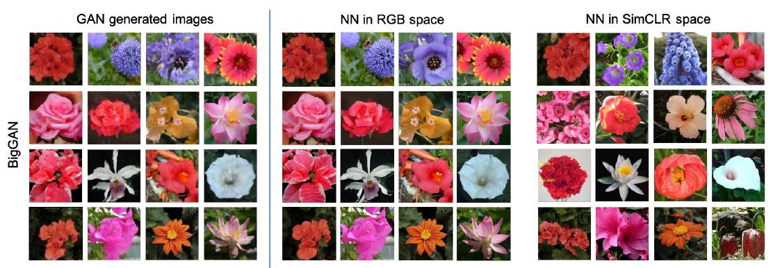 BIGGAN-NN-RGB-SimCLR results