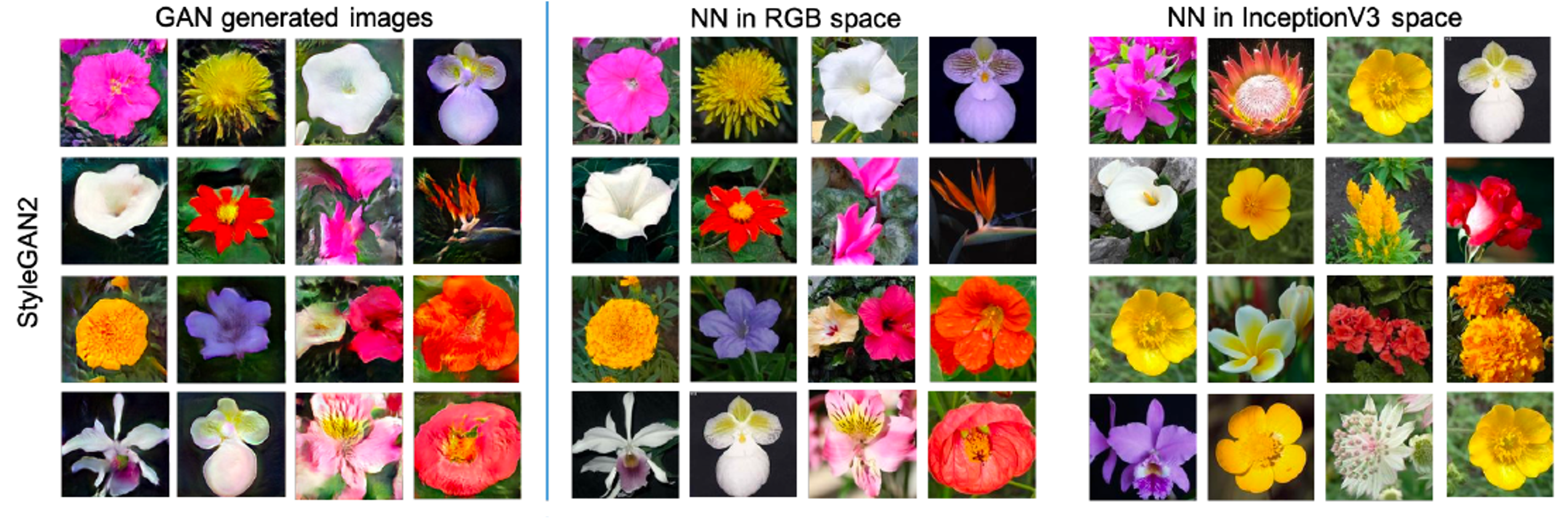 STYLEGAN2-NN-RGB-IncepV3 results