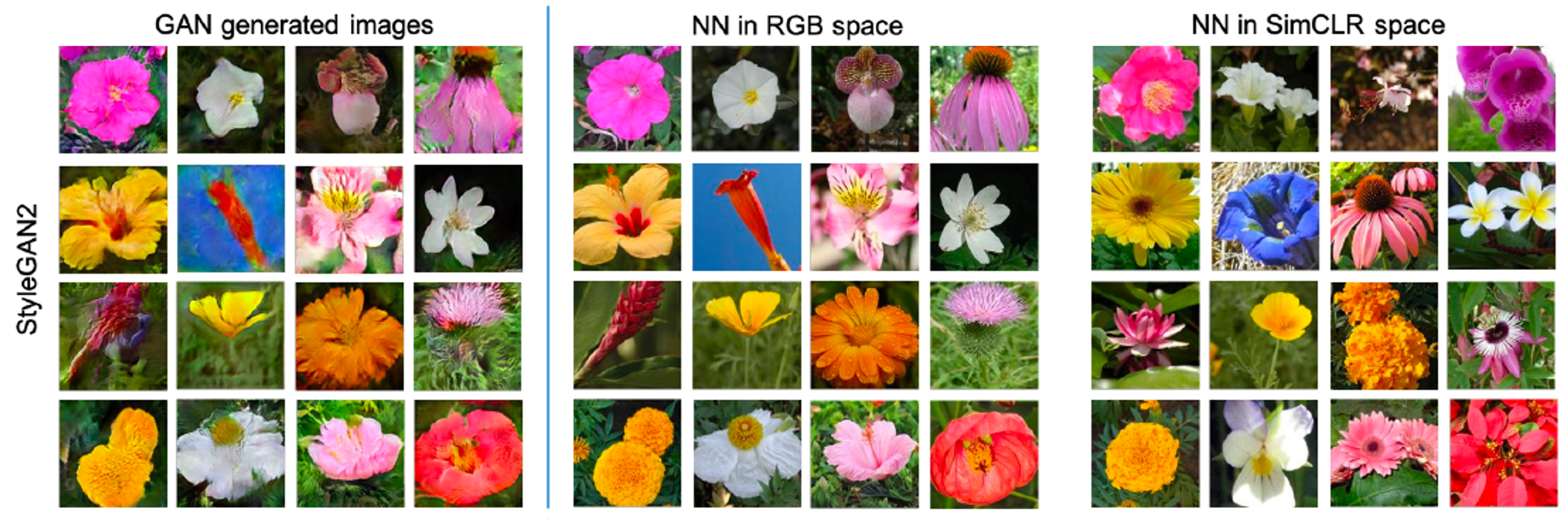 STYLEGAN2-NN-RGB-SimCLR results