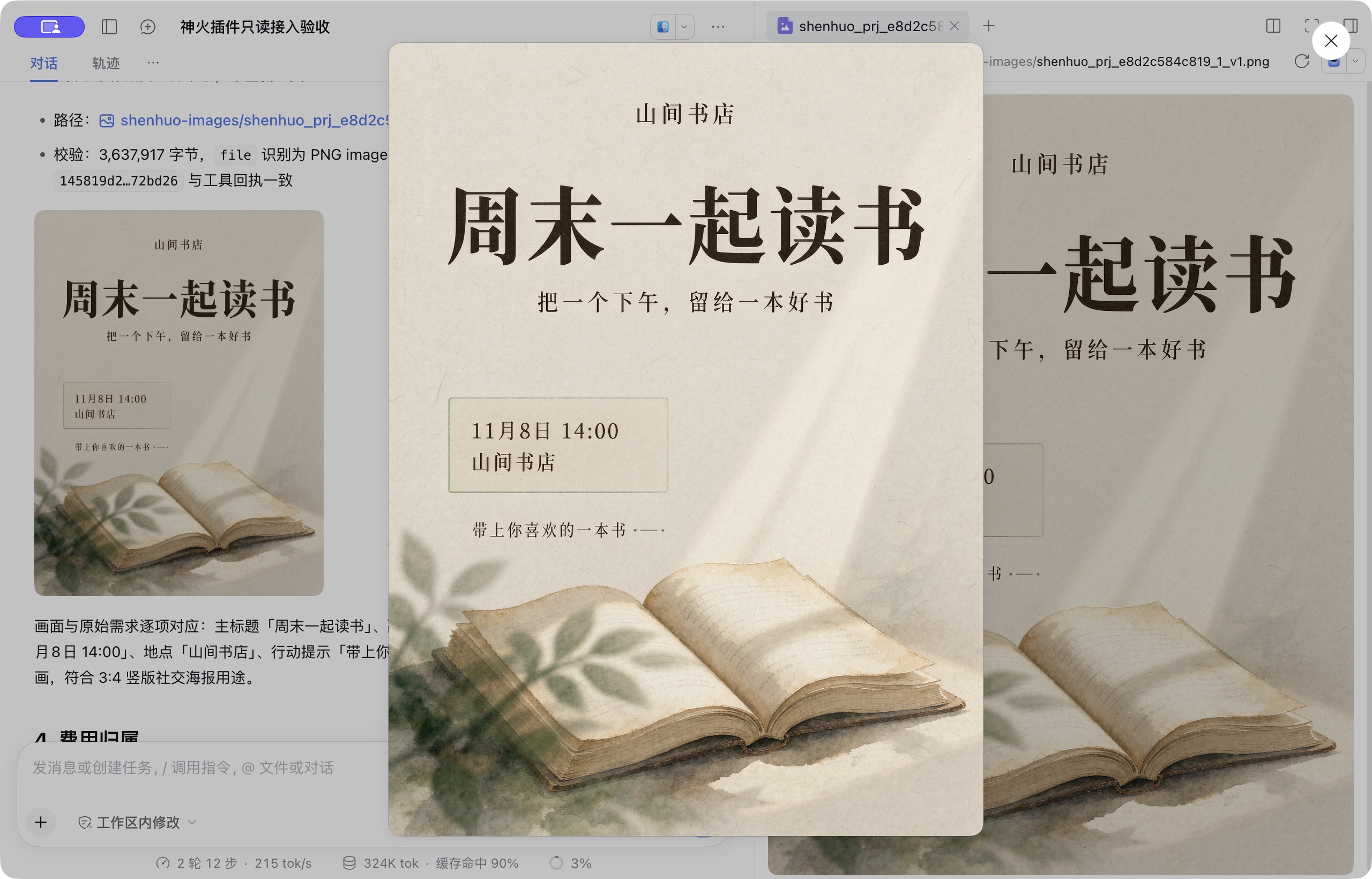 DSH 实际交付截图