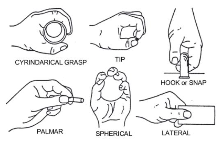 sEMG_Basic_Hand_movements_upatras/grasps_en.PNG