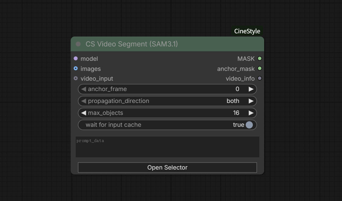 CS Video Segment (SAM3.1) 节点