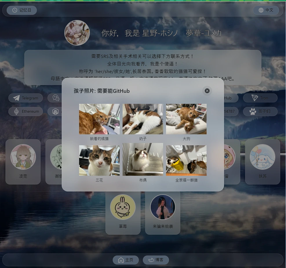 照片展示墙预览