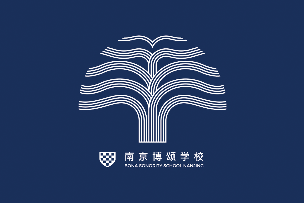 南京博颂学校队旗 / School flag