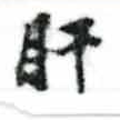 已定位肝