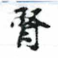 腎の位置