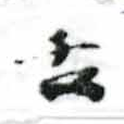 已定位舌