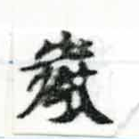 Đã định vị 嚴