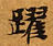 Đã định vị 躍