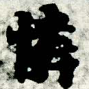 Located 憐
