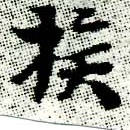 已定位族