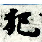 已定位犯