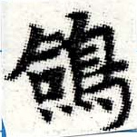 鴿 위치 확인됨