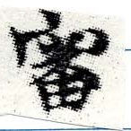 Đã định vị 審