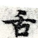 已定位舌