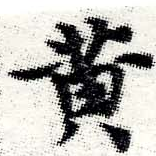 位置 確認된 黃