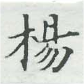 已定位楊