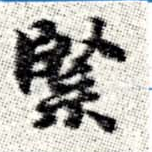 Đã định vị 緊