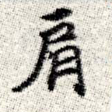 已定位肩