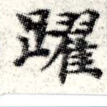 Đã định vị 躍