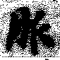 Located 脈