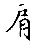 已定位肩