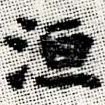 洹 위치 확인됨