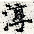 Đã định vị 淳