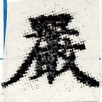 Đã định vị 嚴