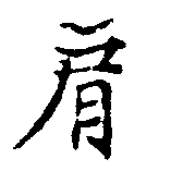 已定位肩