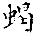 位置 確認된 蝎