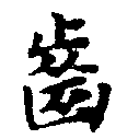 已定位齒
