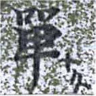 Đã định vị 單