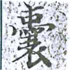 囊の位置