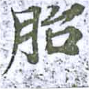 Located 胎