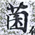 已定位菌